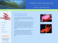 diveoceansalive.com