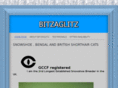 bitzaglitz.co.uk