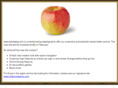blacktwigserver.com