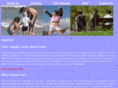 cprjumpstart.com