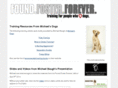 foundfosterforever.com