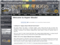 realestateinaspenwoods.com