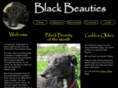 blackbeauties.org.uk