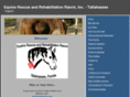 equinerr-tlh.com