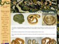 pythons1.com.au