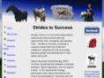 strideslearningcenter.com