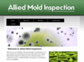 alliedmoldinspections.com