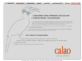 calaoasso.org