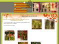 green-emotionvegetale.com