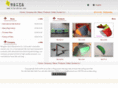 chinese-kite.net