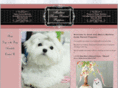 maltesehomeraisedpuppies.com