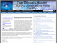 thedomainhunter.com