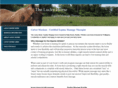 theluckyhorseonline.com