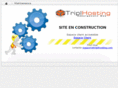 triplhosting.com