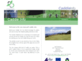 caddieinfo.com