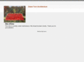 dianetornarchitecture.com
