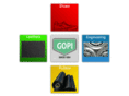 gopigroups.com