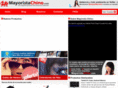 mayoristachino.com