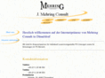 mehring-consult.com