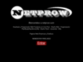 netprow.com