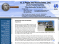 papphomeinspection.com