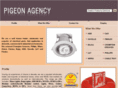 pigeonagency.com