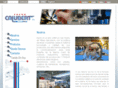 tecnocalubert.com
