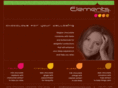 elementschocolate.com