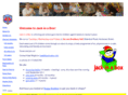 jackinabox.info