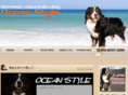 ocean-style.net