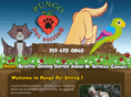 pungopetsitting.com