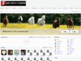 theincasempire.com