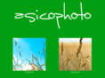 asicophoto.com