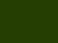 coloniaoakland.com