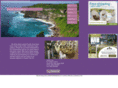 pacificsoulimports.com