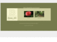 baurbb.com
