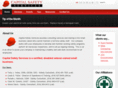 capitalsafetyservices.com