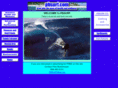 pbsurf.com