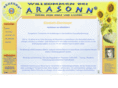 arasonn.com