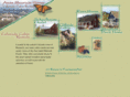 coloradocabinrentals.com