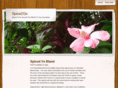 spice2go.com