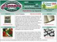curran-company.com