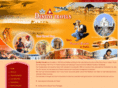 destinytravelsjaipur.com