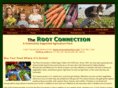 rootllc.com