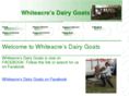 whiteacredairygoats.com