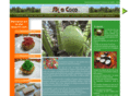 sikacoco.com