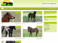 theminihorses.com