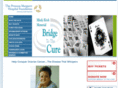 bridgetothecure.com