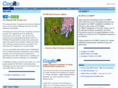 bronziet.com