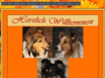 collies-shelties-vom-tecklenburger-berg.com